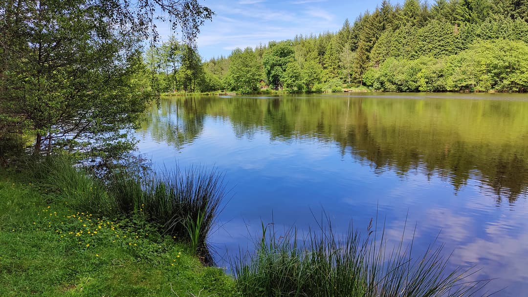 Savoir vivre im Burgund