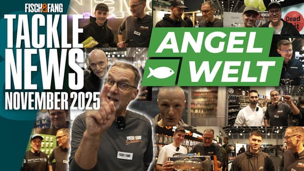 Tackle News: ANGELWELT Spezial