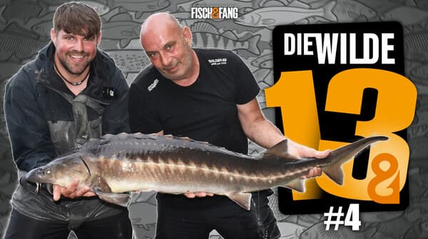 Die Wilde 13: Folge 4