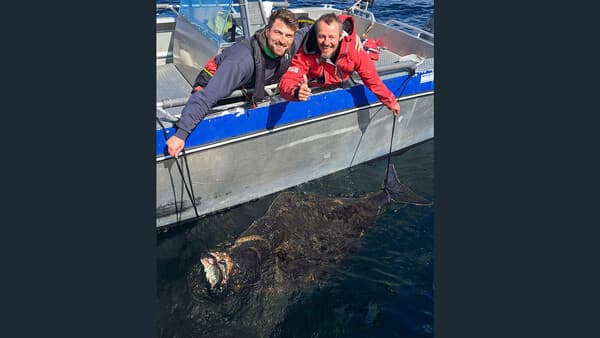 „So fingen wir den Zwei-Meter-plus-Butt“