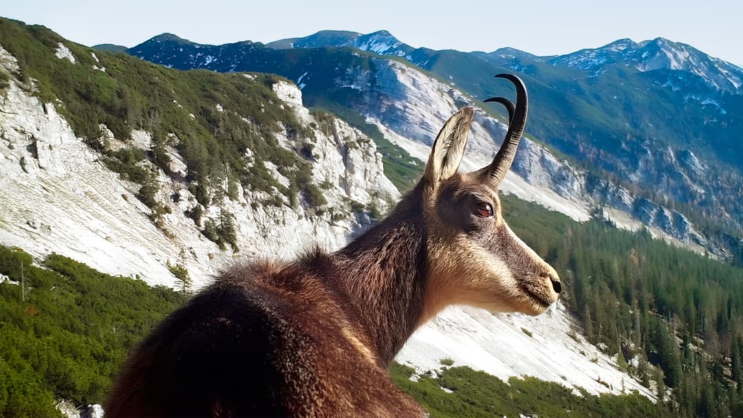 Abschied vom Höllengebirge