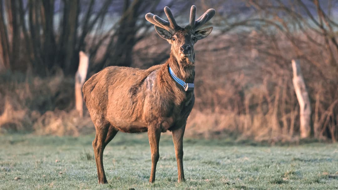 Wandern und schieben