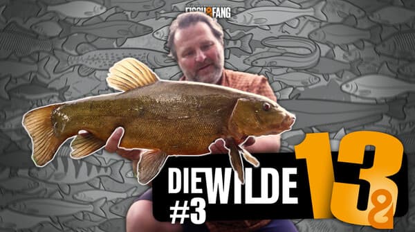 Die Wilde 13: Folge 3