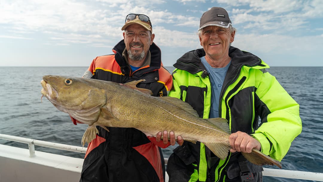 „Magne macht’s möglich!“