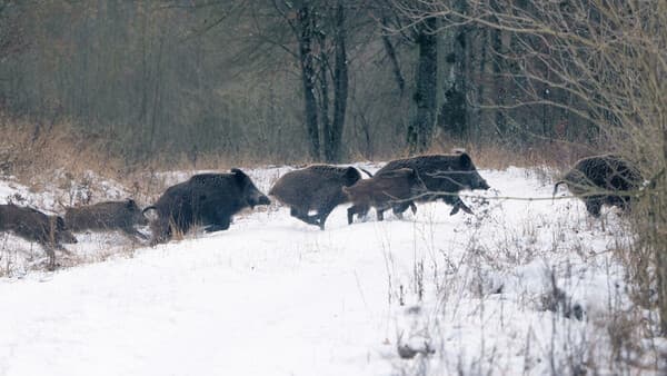 Gemischte Reaktionen