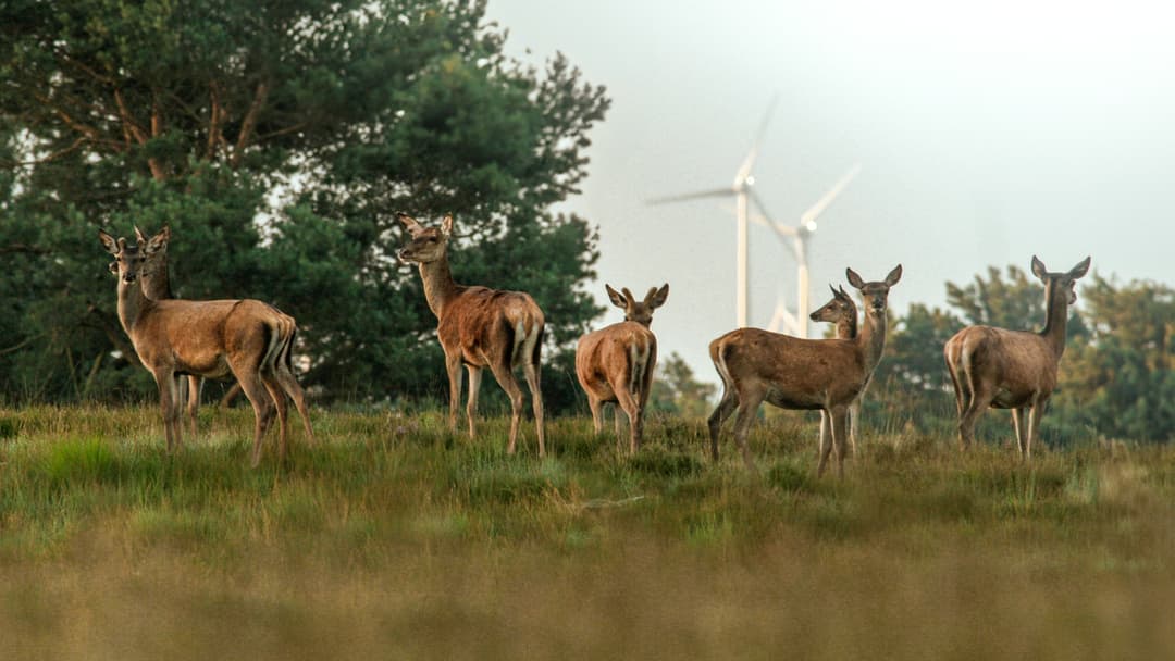 Wenn der Zweck die Mittel heiligt