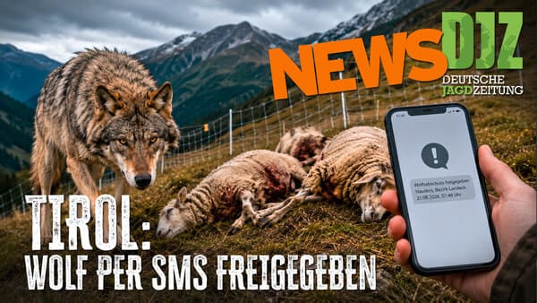 DJZ-News – Die wichtigsten Jagdthemen der Woche!