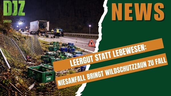 DJZ-News 21. Januar 2026 – Die Jagd-News der Woche!