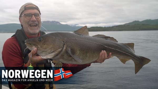 Top-Revier Kastneshamn