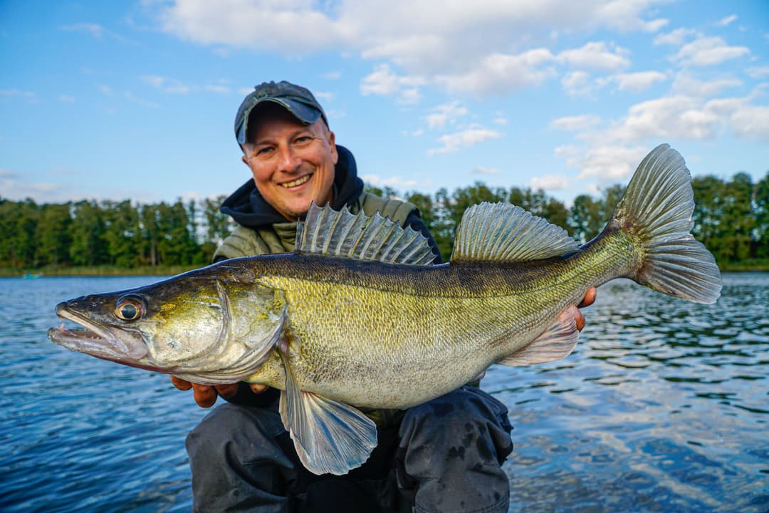 Die 7 größten Fehler
