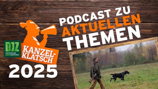 DJZ-Kanzelklatsch - Prüfungsgeschehen