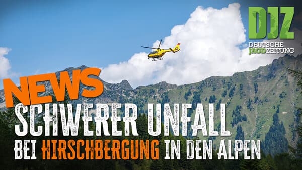 DJZ-News – Die wichtigsten Jagdthemen der Woche